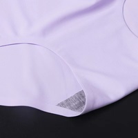 Culottes en nylon non tissé sans couture taille haute pour femmes, confortables, grandes tailles, lingerie unie, vente en gros d'usine