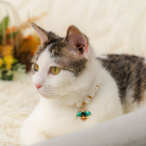 Vente de gros Collier chien chat perle décorée - Product Image 5