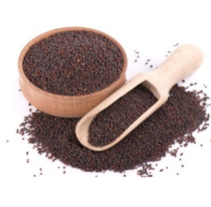 Graines de moutarde de qualité supérieure, naturelles, entières, fraîches de la ferme, épice de qualité export, ingrédient culinaire, approvisionnement - Product Image 2