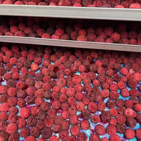 Premium Natuurlijk Gevriesdroogde Bayberry Zonder Toegevoegde Suiker Gezonde Gevriesdroogde Gehele Waxberry Fruit Snack