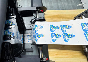 Tự động in flexo và máy cắt chết máy loại bỏ chất thải Máy sử dụng với máy in nhãn - Product Image 6