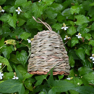 Nid d'oiseau en paille fait main, cage à oiseaux ronde suspendue de 17x14 cm pour oiseaux, cages pour animaux de compagnie - Product Image 3
