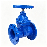 Vanne à opercule manuelle à soufflet à bride en acier forgé/acier moulé pour eau et huile thermique haute température, normes GB ANSI DIN JIK