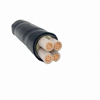 Câbles d'alimentation YJV22 à âme en cuivre, directement du fabricant, gamme complète en stock pour applications d'enterrage direct dans l'éclairage routier
