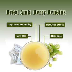 Amla de Alta Calidad, Grosella Seca Naturalmente, Baya Verde Ácida, Ingredientes Herbales - Product Image 5