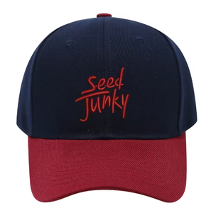 หมวกเบสบอลปักโลโก้ตามสั่ง คุณภาพสูง 6 แผง ผ้าฝ้าย สำหรับผู้ชาย ผู้หญิง และทุกเพศ - Product Image 1