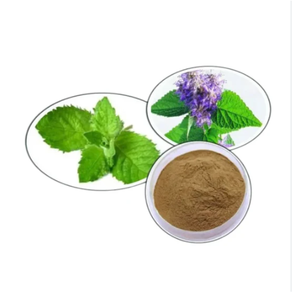 Meilleur prix poudre d'herbe d'Agastach de haute qualité en vente - Product Image 1