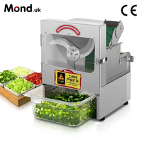 Mond.uk Coupe-légumes électrique commercial 150 kg/h, silencieux, pour oignon vert, machine professionnelle à découper les piments en anneaux pour barbecue