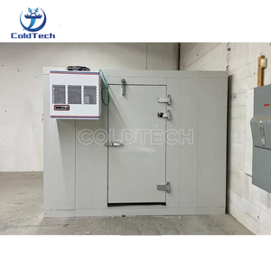 Cámara Frigorífica de Bajo Precio de 10*8*8 Pies, Cámara Frigorífica Walk-in - Product Image 2