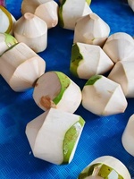 Éplucheur de noix de coco électrique portable et efficace, machine à éplucher la peau brune du noix de coco, éplucheur de coque de noix de coco
