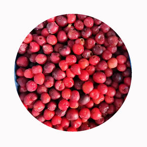 Dondurulmuş kızılcık IQF-organik ve geleneksel seçenekler | OEM özel etiket | Güvenilir soğuk zincir | Sıcak satıcı - Product Image 6