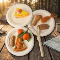 Assiettes ovales jetables en canne à sucre de 10 pouces, compostables, pour mariage, vaisselle en pulpe de papier, vente en gros