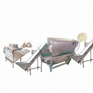 Ligne de production de pelage d'ail à l'azote avec moteur et moteur électrique, haute efficacité, capacité de 2000 kg/h pour l'exportation - Product Image 6