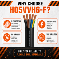 Cable Plano Flexible H05VVH6-F de PVC 450/750V para Elevadores y Sistemas de Transporte - 99.9% Cobre Libre de Oxígeno
