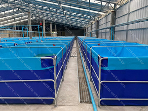 Grand bol de réservoir rond transparent filtre d'aquarium roches ovales 20 gallons réservoirs d'aquarium personnalisés refroidisseur pour réservoir de pisciculture - Product Image 3