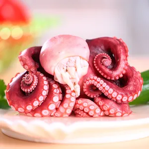 China sushi material Seafood of frozen whole live octopus for sale