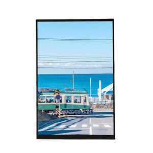 OEM 10.1 inch TFT <span class=keywords><strong>panel</strong></span> màn hình với giao diện MIPI-4L giá cả cạnh tranh TFT <span class=keywords><strong>LCD</strong></span> module - Product Image 1