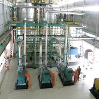 Chinese Fabrikant Palmolie Verwerkingsmachine Voor Boerderij Te Maken Bakolie Palmolie Pers Productielijn