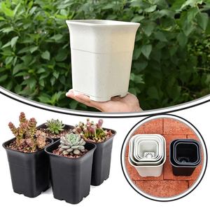 Maceta Cuadrada para <span class=keywords><strong>Suculentas</strong></span> al por Mayor con Orificio de Drenaje, 3/4/5/6 Pulgadas, Maceta de Plástico Grueso para Vivero, Tipo Profunda para Cactus y Plantas - Product Image 1