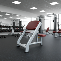 ASM-L1039 Équipement de fitness commercial pour salle de sport, Banc de musculation pour biceps, Banc multifonction, Banc de musculation pour presse, Équipement de gym