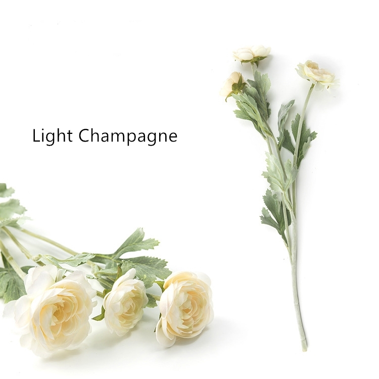 Champagne leggero