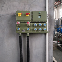 Caja de interruptores y enchufes combinada a prueba de explosiones, personalizada de fábrica, con múltiples tomas, estación de control ignífuga Ex d IIB