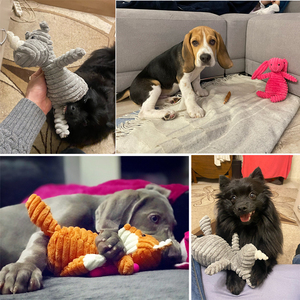 <span class=keywords><strong>Juguete</strong></span> Masticable Resistente a Mordeduras con Forma de Animales <span class=keywords><strong>para</strong></span> Perros, <span class=keywords><strong>Juguete</strong></span> de Peluche <span class=keywords><strong>para</strong></span> Perros Pequeños y Grandes, Cachorros, Accesorios de Entrenamiento <span class=keywords><strong>para</strong></span> Mascotas - Product Image 6