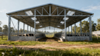 Bâtiment de ferme extérieur préfabriqué industriel de haute qualité grange de vache mouton/bétail/laitier/chèvre maison Structures en acier atelier volaille