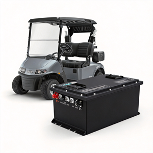 Bateria de Carrinho de Golfe OEM de Fábrica 48V 105Ah 51.2V 38.4V LiFePO4 com Bluetooth RS485 CAN Smart BMS Descarga de Pico de 400A - Product Image 1