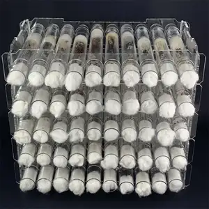 10 Sockets Horizontal Stackable Queen Ant Test Tube Acrylic Racks for Science Study Laboratory Use