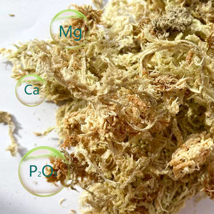 优质压缩泥炭藓可定制兰花生长中高保水透气性灌封混合物压缩 - Product Image 3