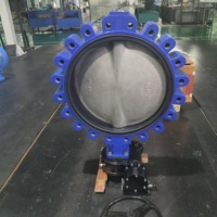 Katup Kupu-kupu Manual Tipe Lug DN500 DI/SS304 Body Chain Wheel/Gear Box/Actuator Dioperasikan DIN/BS/ANSI untuk Penggunaan Pengolahan Air