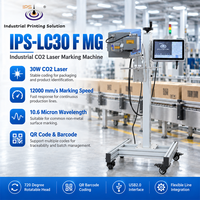 Machine de marquage laser CO2 IPS-LC30 F MG, marqueur laser CO2, machine de marquage de bouteilles, 10,6 microns, 12000 mm/s, codage
