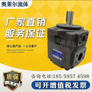 ปั๊มไฮดรอลิกเหล็ก Ylc Vane Pump Pv2r2 350 บาร์ 1 สเตจ - Product Image 3