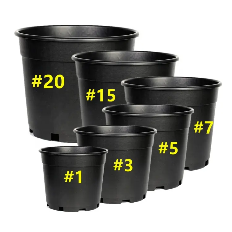 Wholesale Cheap 1 2 3 5 7 10 15 20 Gallon Black Plastic Pot Outdoor Nursery Plant Plastic Pot For Sale