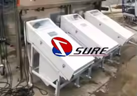 Machine commerciale de tri de poissons vivants avec niveleuse de poids de poisson et compteur de poisson automatique pour l'aquaculture 4000 kg/h