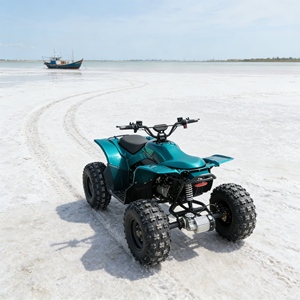 Popular Buggy para Dunas con Motor Pequeño, Perfecto para Principiantes y Quienes Buscan una Potencia Manejable en las Dunas - Product Image 2