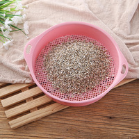 Filtre à mailles en plastique pour tamisage de terre et de pierres, outils de jardinage pour la maison, les fleurs et les plantes de pépinière