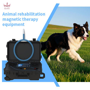 Equipo de Terapia Magnética para Rehabilitación Animal Magic Belle, Dispositivo de Fisioterapia PEMF, Unidad de Terapia Veterinaria de Escritorio para Perros y Gatos - Product Image 1