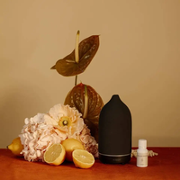 Vendeur chaud diffuseur d'huile essentielle humidificateurs en céramique diffuseur de parfum d'air pour la maison diffuseur d'air à brume fraîche ultrasonique