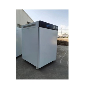 Incubadora eléctrica 50L 80L 160L 270L Incubadora eléctrica de temperatura constante calentada - Product Image 6