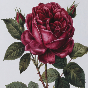 <strong>Wholesale</strong> Custom Fashion Decorative <strong>Book</strong> Hardcover Decorative <strong>Books</strong> Set <strong>Coffee</strong> <strong>Table</strong> <strong>Books</strong> Printing for Home Decor - Product Image 5
