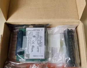 900b16-1101plc Admite Salida Analógica de 16 Canales para un Rendimiento Óptimo - Product Image 2