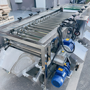 Totalmente Automático Frutas e Vegetais Peso Máquina De Classificação Comercial Rolling Bar Grader Factory Direct Supply - Product Image 6