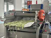 Fabrieksopmaat gemaakte sla-kool-gemengde groente was-, snij-, droog- en productiesysteem voor saladeverwerking