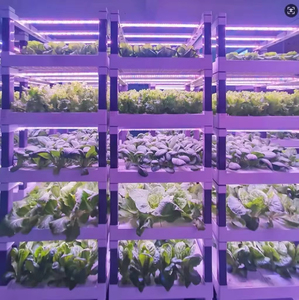 Système de culture hydroponique modulaire écologique haut de gamme avec pompe et LED 10000h pour serre domestique - Product Image 4