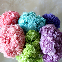 Buket Bunga Kering Hydrangea Kelopak Besar Awet Tahan Lama, Tangkai Tunggal, Asal Cina, Model TLBY007, Produksi Pabrik
