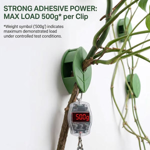 <span class=keywords><strong>Clips</strong></span> Autoadhesivos <span class=keywords><strong>para</strong></span> Plantas Trepadoras, Color Verde Hoja, <span class=keywords><strong>Precio</strong></span> de Fábrica, Sin Necesidad de Taladrar, <span class=keywords><strong>Clips</strong></span> de Montaje en Pared <span class=keywords><strong>para</strong></span> Plantas - Product Image 6
