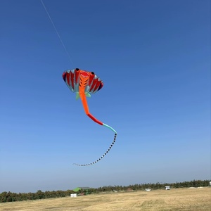 Cerf-volant gonflable doux 3D bicolore, étanche et indéchirable pour les activités de plage en plein air avec les parents et les enfants - Product Image 4