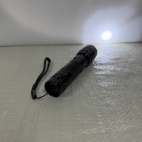 Lampe torche antichoc KT-1102, lumière d'urgence pour la randonnée en banlieue, la promenade nocturne des animaux, le travail à la ferme et au grénavier